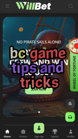 BC Game Tips and Tricks - Winning Strategies-vz72fvrf.com