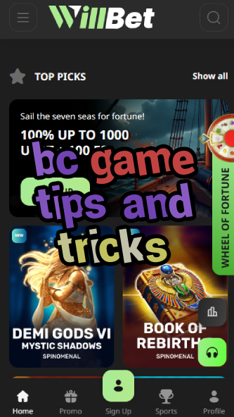 BC Game Tips and Tricks - Winning Strategies-vz72fvrf.com